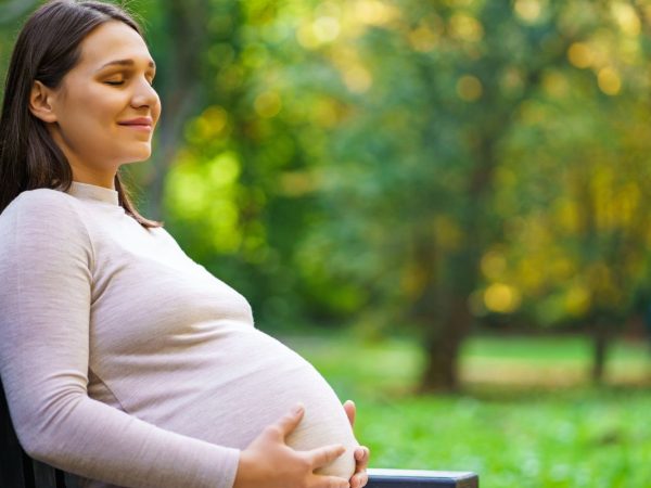 The Power of Holistic Care: How Integrating Ayurveda Can Improve Reproductive Health